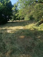 Vogelwiese Eisbaeren 2023